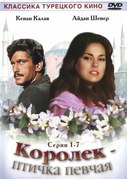 Белькис Диллигиль